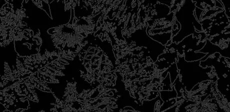 Patryk Kulig, Cryptoflora, Detail, Buch, 2022