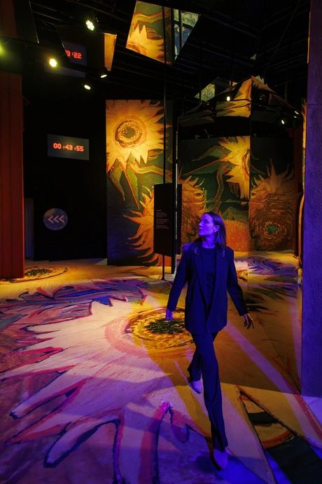 Vincent - Zwischen Wahn und Wunder