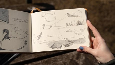 Naturtagebuch für Vogelbeobachter