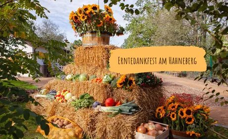 Erntedankfest am Hahneberg