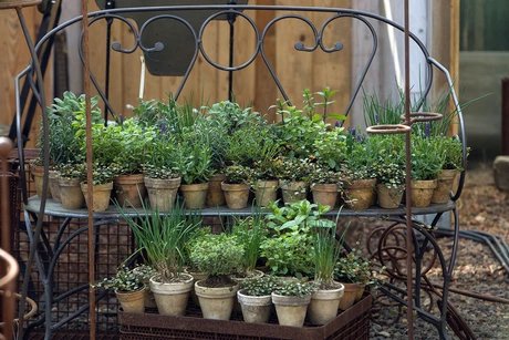 Kräutertage und Gartensaisonstart bei Späth