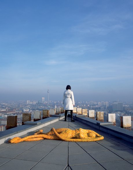 e_b63b0ee6e281f3c3f9f9c1975372fbf8_img-hopop