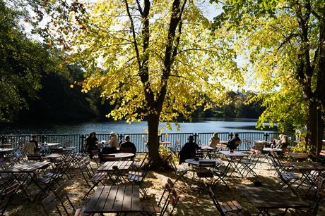 e_b8060b63a7e0030ddd8a275e001eea62_img-hopop