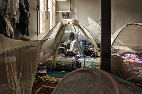 e_ba8a06d75290ad36ef4f83f380c0ac78_img-hopop