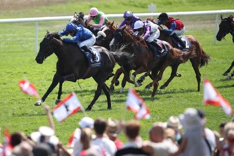 Westminster 136. Grosser Preis von Berlin