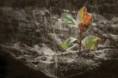 Ich bin da, trotzdem - hörst Du?