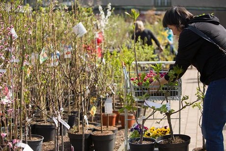 Kräutertage und Gartensaisonstart bei Späth
