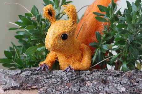 Die Eichhörnchen-Story