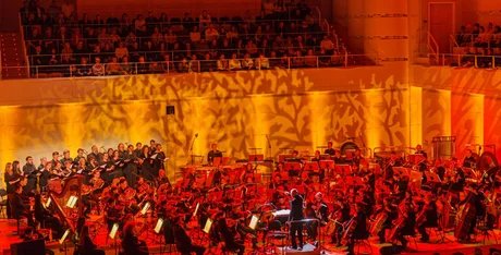 e_c5049f7151b329fff5a03d522e794a3d_img-hopop