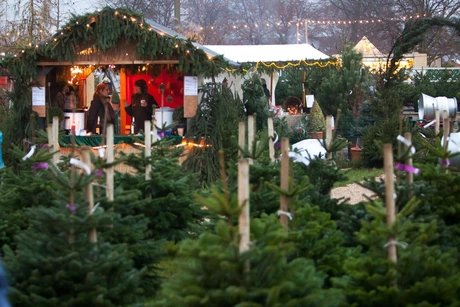 Advent in den Späth'schen Baumschulen