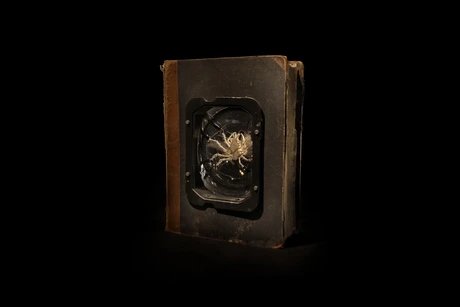 Midsommar bei Späth: Fest für die Sinne im Kräutergarten und Kunst im Zelt