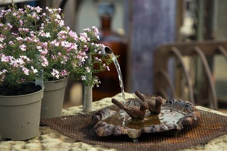 Kräutertage und Gartensaisonstart bei Späth