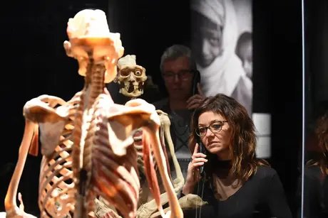 KÖRPERWELTEN Museum Berlin