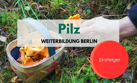 Pilz Weiterbildung für Einsteiger:innen