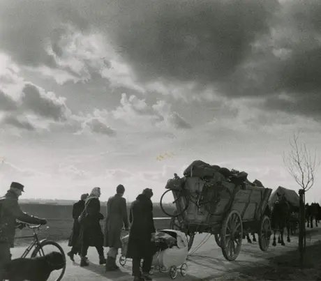 e_d17526ccaf552a572b5632d689c4d169_img-hopop