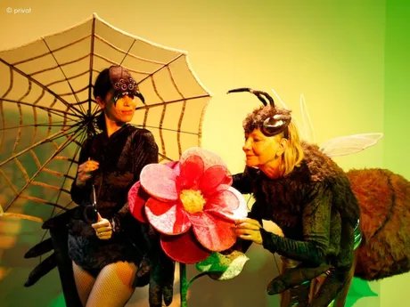 e_d365f6f85fe34ceb16a169e6f0caae3d_img-hopop