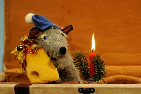 Schneeschön und bitterkalt