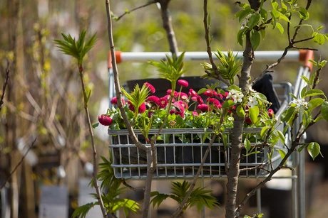 Kräutertage und Gartensaisonstart bei Späth
