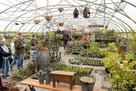 Midsommar bei Späth: Fest für die Sinne im Kräutergarten und Kunst im Zelt