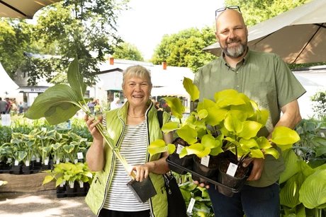 Gartenträume auf der Rennbahn Hoppegarten