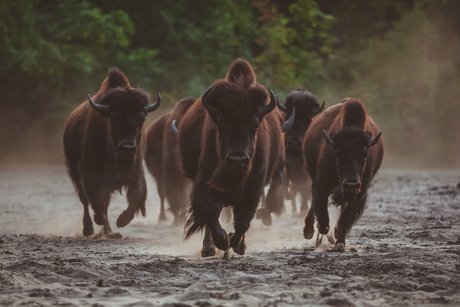 e_e5033647cf100bbbf7d014b73c951366_img-hopop