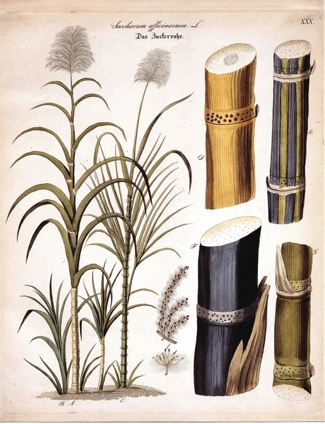 e_e519135d9c9a09c4658ca76078ea3f73_img-hopop