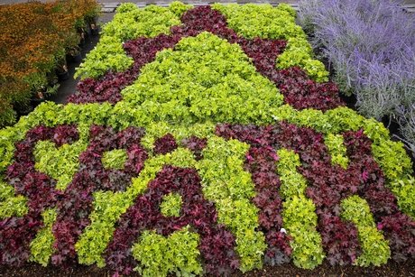 Traditionsfest mit Herbstblütenpracht, Live-Musik und Kinderprogramm