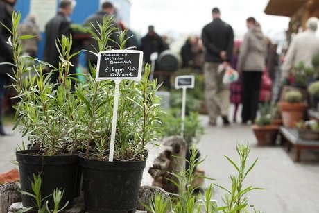 Kräutertage und Gartensaisonstart bei Späth