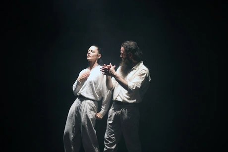 PULSE - A dialogue of instincts