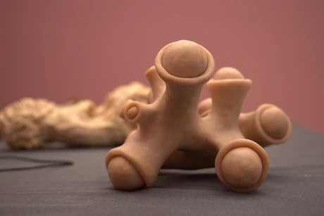 sexual creeping, institut für postevolutionäre lebensformen (Installationsansicht), Kunstmuseum Heidenheim, 2021,