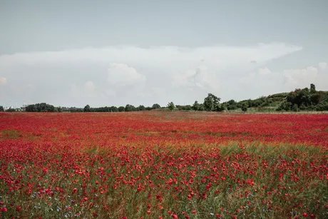 Fotografie aus der Serie "mitteldeutsch" von Philipp Baumgarten