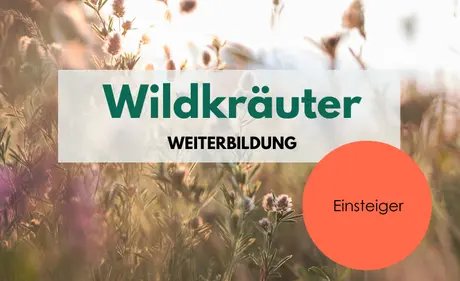 Wildkräuter Weiterbildung