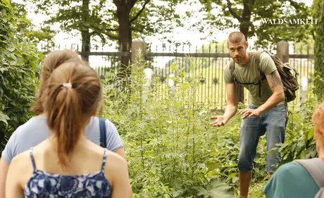 e_f1618ba5ef7d69c3ed981b008b975e2b_img-hopop