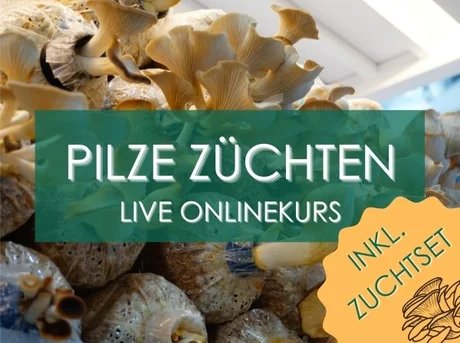 e_f2ea675c92a9b97dbe614a51bc37e24e_img-hopop