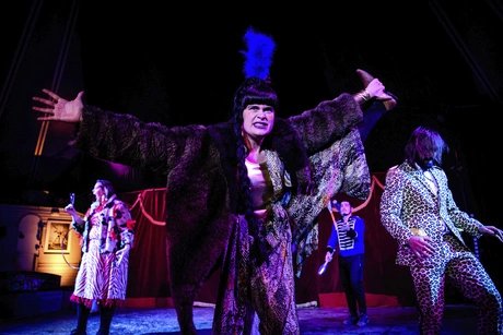 Die Artis*innen des Wendecircus