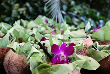 Cocktail aus der Kokosnuss