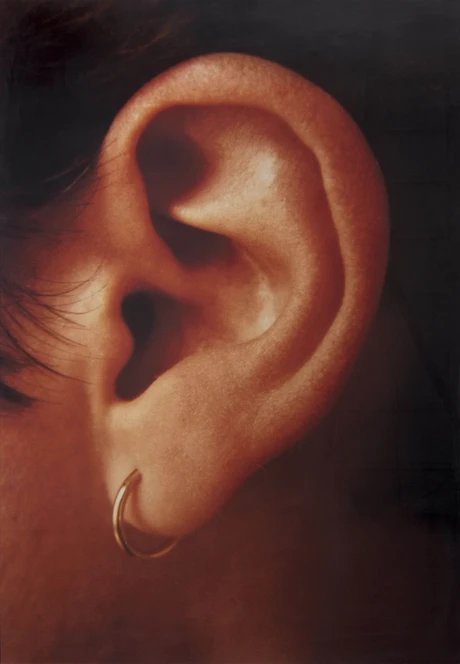 Isa Genzken, Ohr, 1980/2012, C-Print, 149 x 104 cm Privatsammlung, Courtesy neugerriemschneider, Berlin
