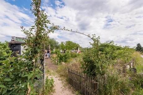 Eingangstor Gemeinschaftsgarten