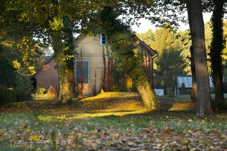 Lustgarten Rheinsberg, Hofgärtnerhaus in der Parkgärtnerei