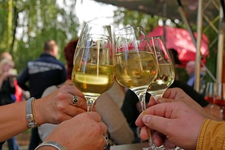 e_fbc36b857b1cf7a4a31b15522ed35579_img-hopop