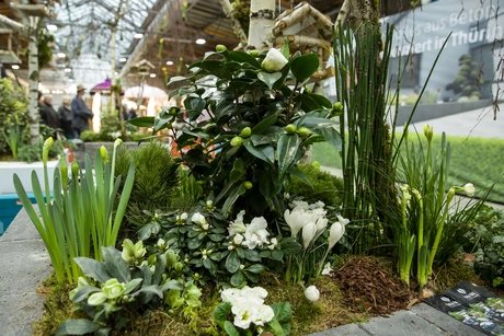 Gartenträume Berlin