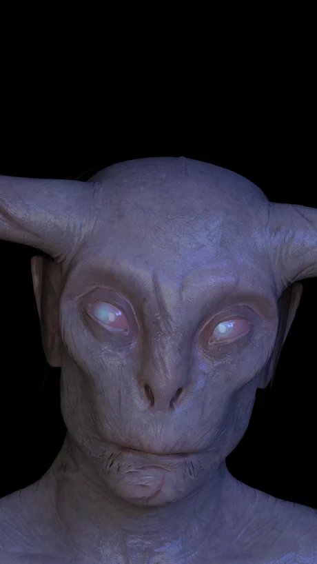 Cihad Caner, Demonst(e)rating the Untamable Monster, 2019