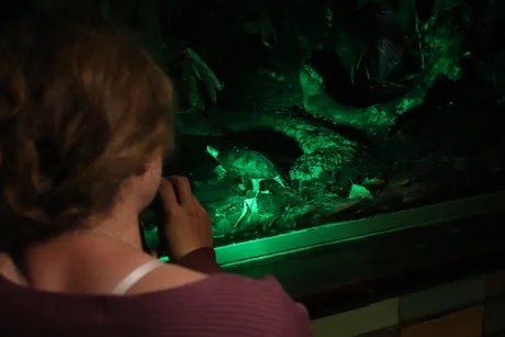 Dschungel-Abende im Tierpark Berlin