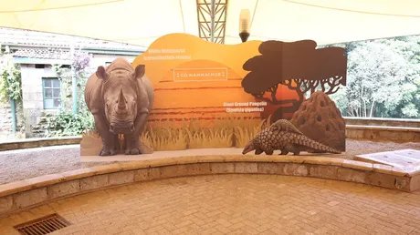 Co-MammalHub am Nairobi National Museum: Bühne für Storytelling Wettbewerb, Juni 2026, Kilibasi Design Studio,