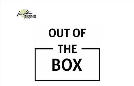 OUT OF THE BOX – NATUR UND NACHT