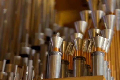Detail-Ansicht der Orgel in der Nikolaikirche