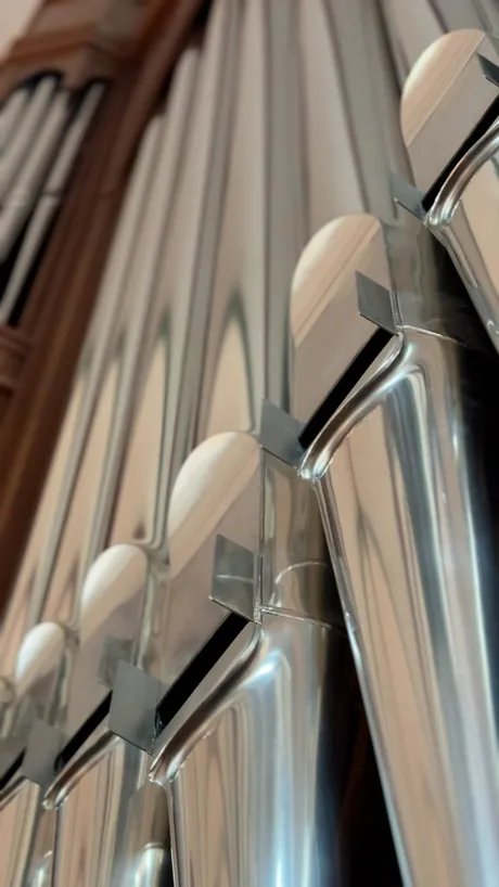 Detail-Ansicht der Orgel in der Nikolaikirche