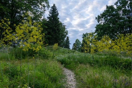 Botanischer Garten