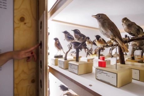 Detail der ZUGvögel Ausstellung