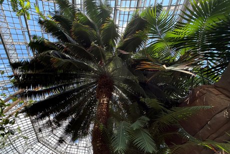 Botanischer Garten